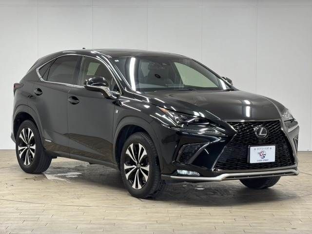 TOYOTA LEXUS NX300h 2020