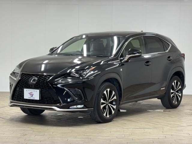 TOYOTA LEXUS NX300h 2020