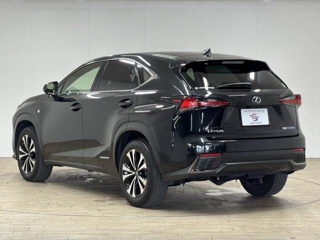 TOYOTA LEXUS NX300h 2020