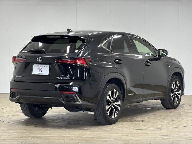 TOYOTA LEXUS NX300h 2020