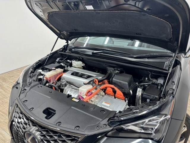 TOYOTA LEXUS NX300h 2020