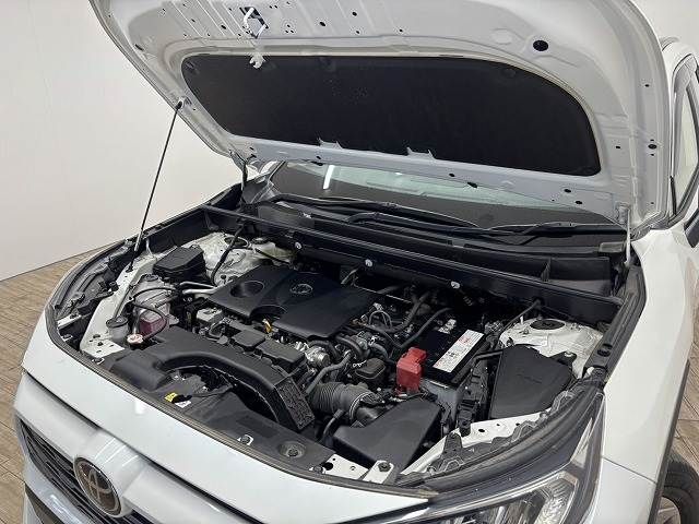 TOYOTA RAV4 4WD 2021