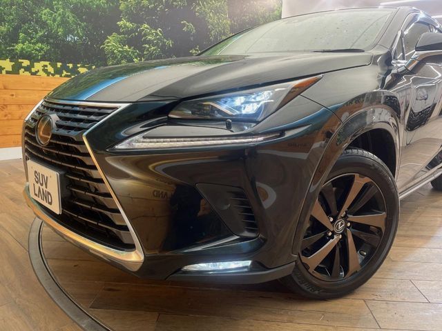 TOYOTA LEXUS NX300h AWD 2019