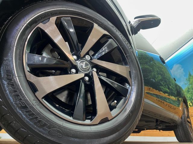 TOYOTA LEXUS NX300h AWD 2019