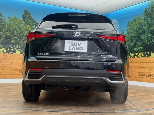 TOYOTA LEXUS NX300h AWD 2019