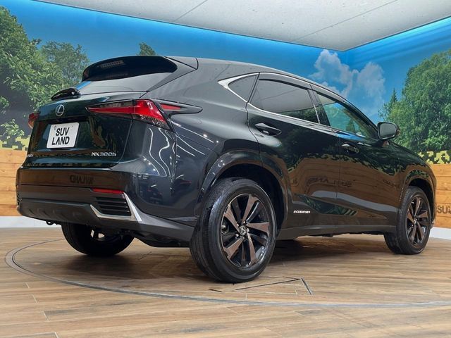 TOYOTA LEXUS NX300h AWD 2019