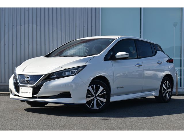 NISSAN LEAF 2021