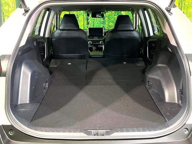 TOYOTA RAV4 4WD 2019