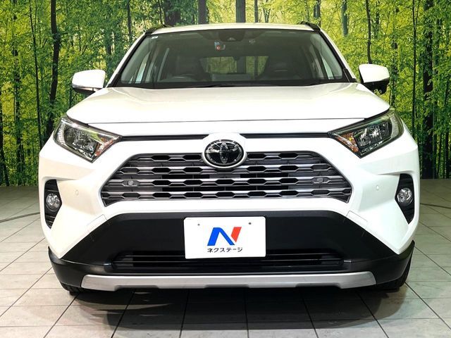 TOYOTA RAV4 4WD 2019