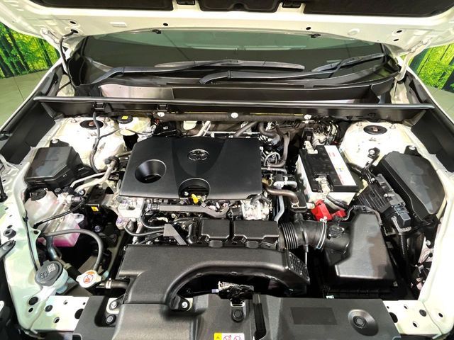 TOYOTA RAV4 4WD 2019