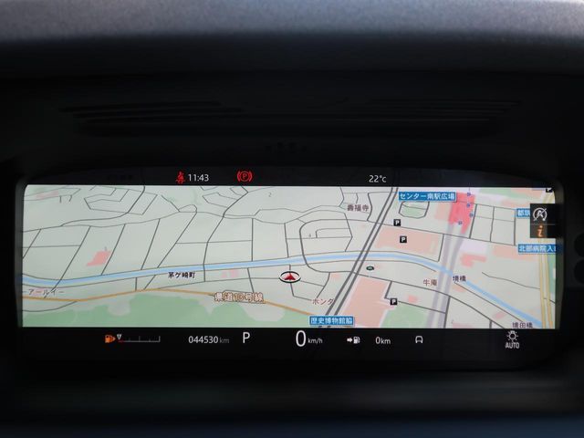 ROVER ROVER DISCOVERY SPORTS 2020