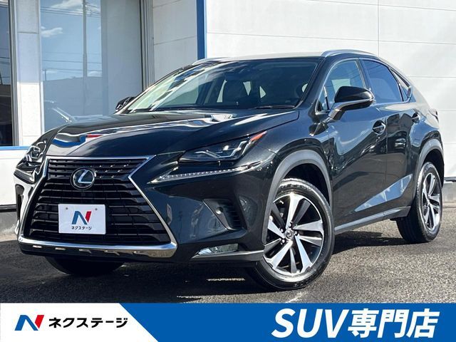 TOYOTA LEXUS NX300 2019