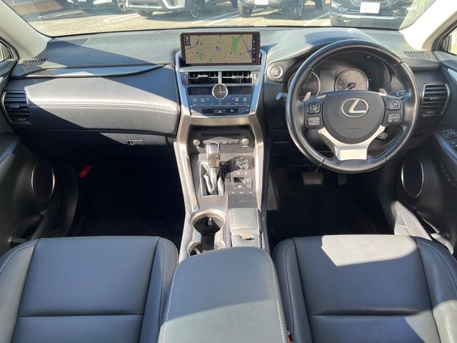 TOYOTA LEXUS NX300 2019