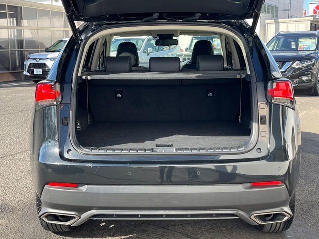 TOYOTA LEXUS NX300 2019