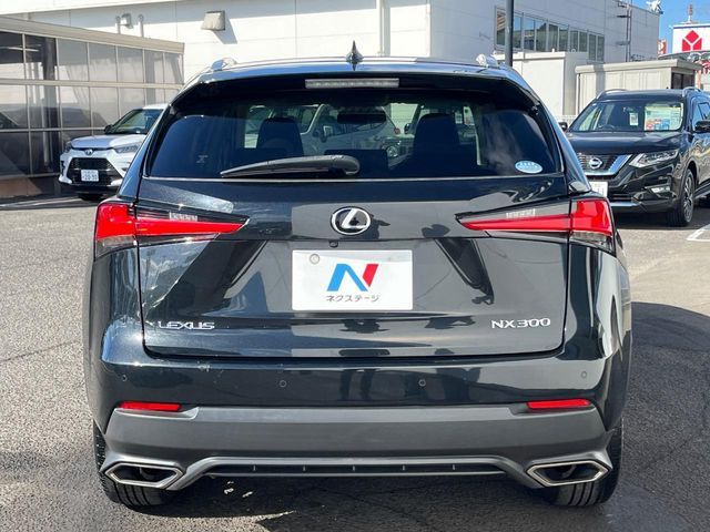 TOYOTA LEXUS NX300 2019