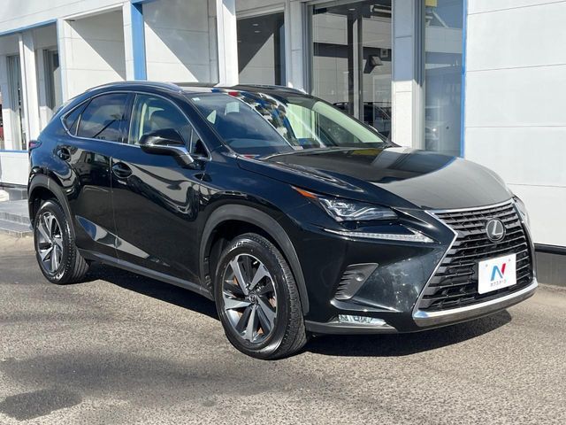 TOYOTA LEXUS NX300 2019