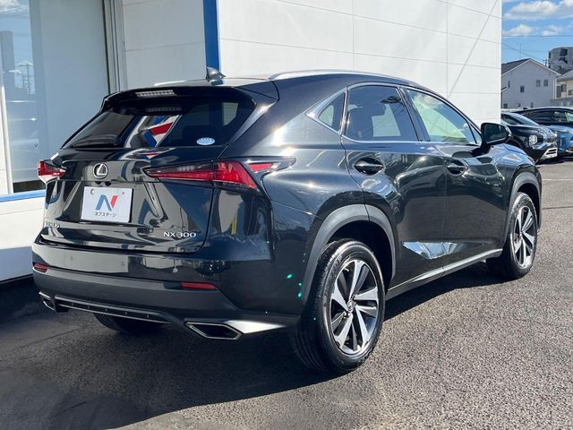 TOYOTA LEXUS NX300 2019