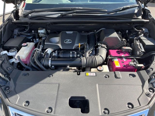 TOYOTA LEXUS NX300 2019