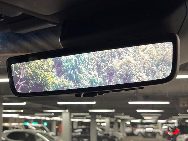 TOYOTA LANDCRUISER 250 2024