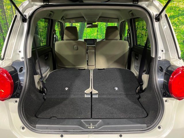 DAIHATSU CAST STYLE 2017