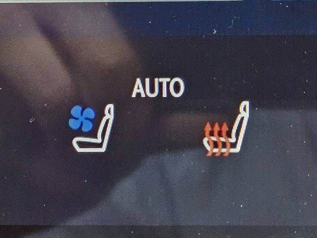 TOYOTA LEXUS NX350h 2023