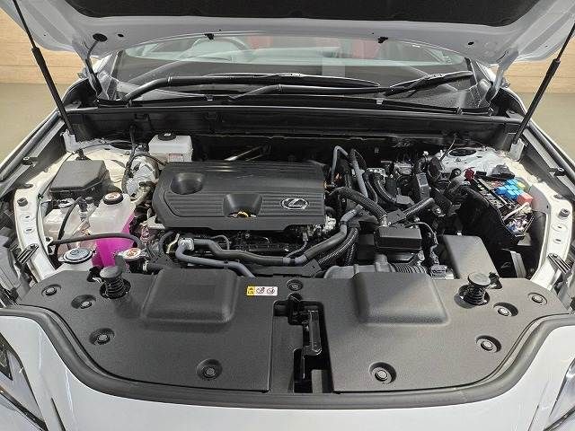 TOYOTA LEXUS NX350h 2023