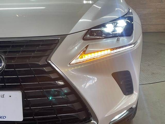 TOYOTA LEXUS NX300h 2018