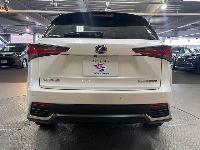 TOYOTA LEXUS NX300h 2018
