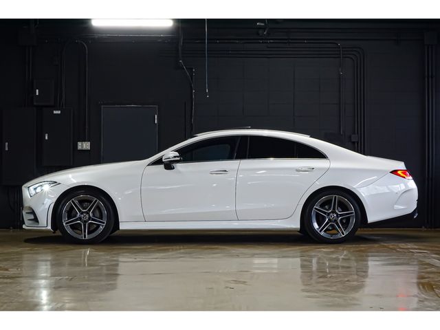 MERCEDES BENZ MERCEDES BENZ CLS class 2019