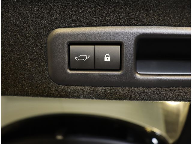 TOYOTA LEXUS RX300 2020