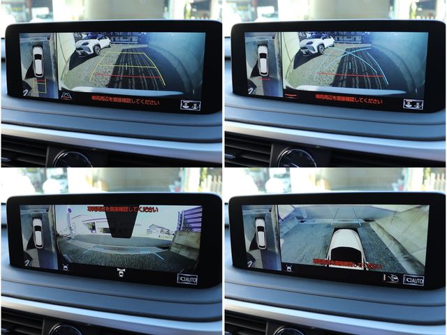 TOYOTA LEXUS RX300 2020