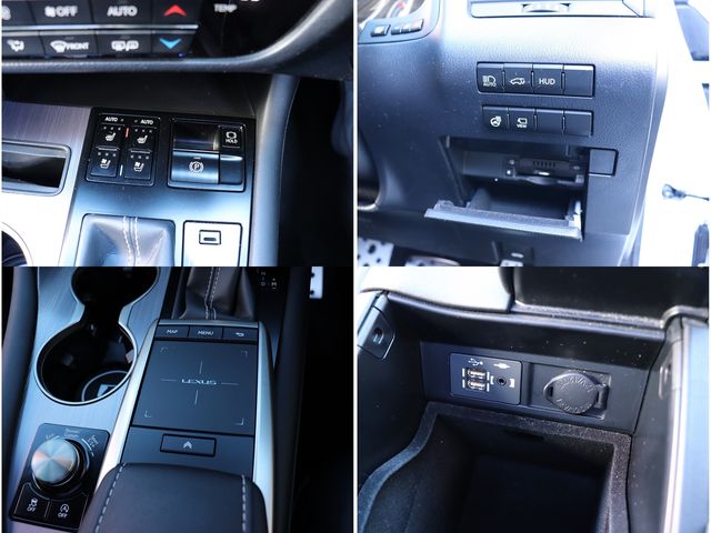 TOYOTA LEXUS RX300 2020