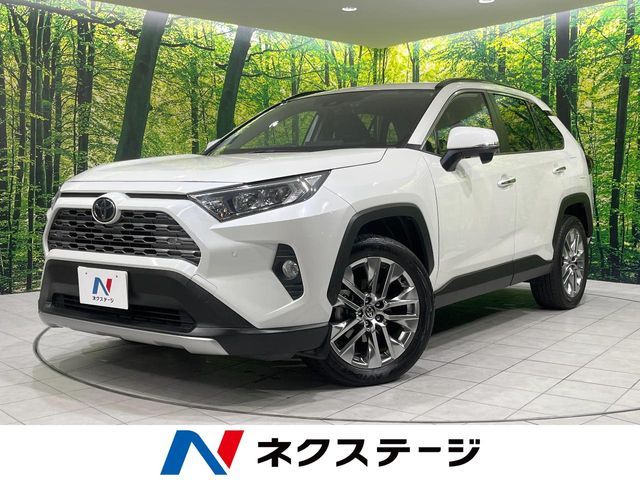 TOYOTA RAV4 4WD 2019