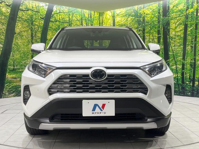 TOYOTA RAV4 4WD 2019