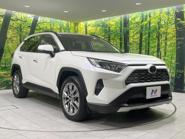 TOYOTA RAV4 4WD 2019
