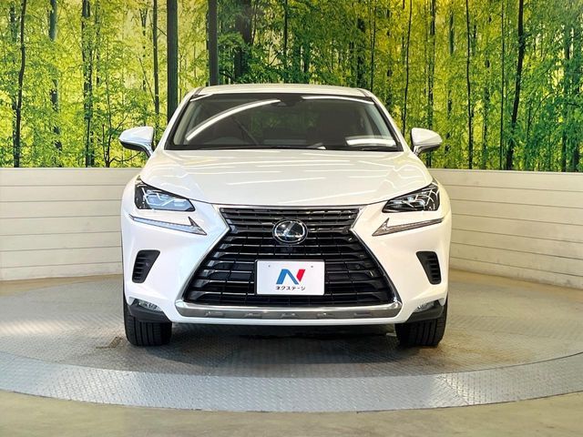 TOYOTA LEXUS NX300 2018
