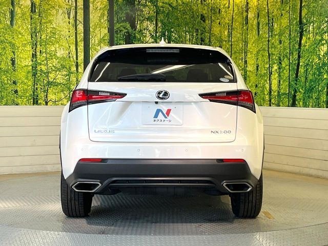 TOYOTA LEXUS NX300 2018