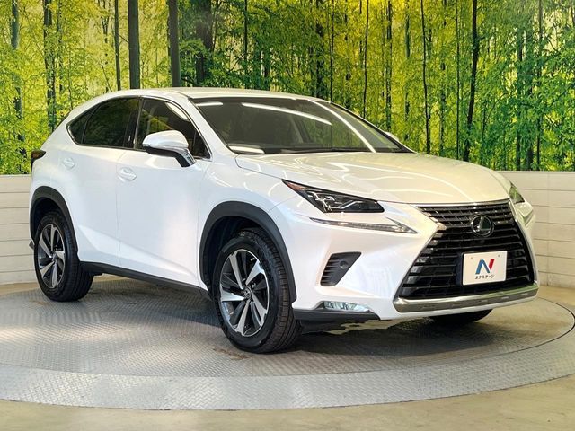 TOYOTA LEXUS NX300 2018