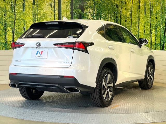TOYOTA LEXUS NX300 2018