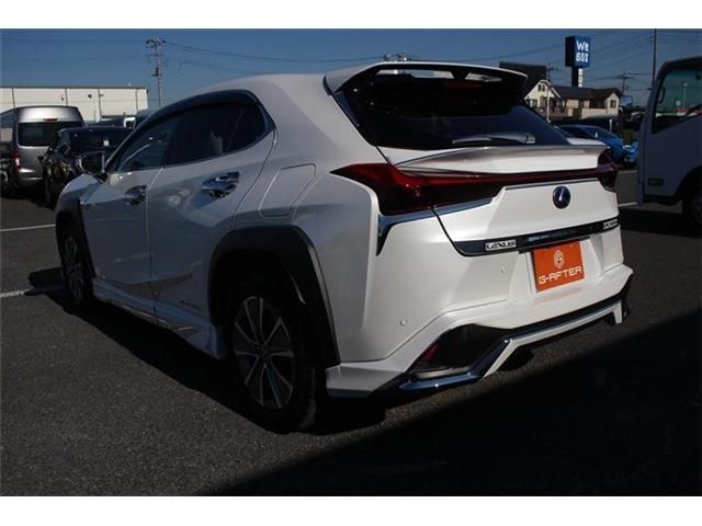 TOYOTA LEXUS UX300e 2021