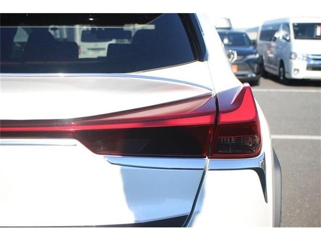 TOYOTA LEXUS UX300e 2021