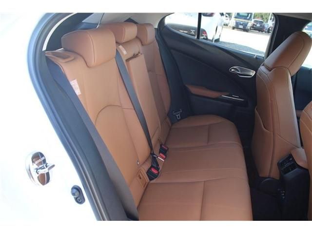 TOYOTA LEXUS UX300e 2021