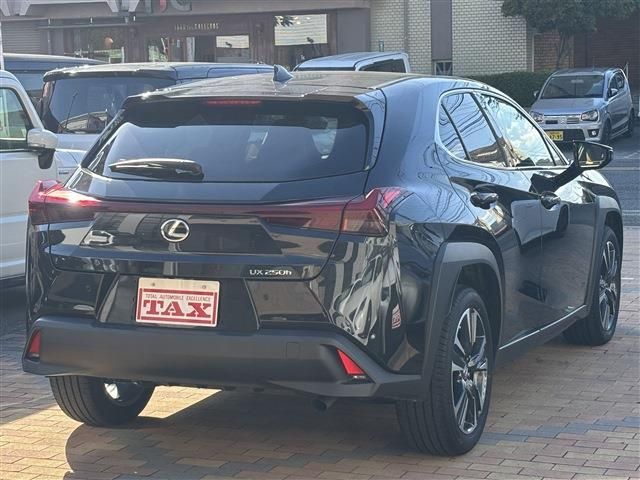 TOYOTA LEXUS UX250h 2023