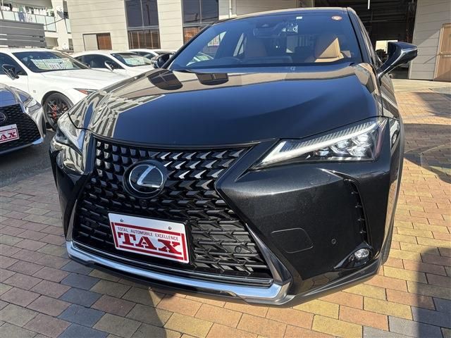 TOYOTA LEXUS UX250h 2023