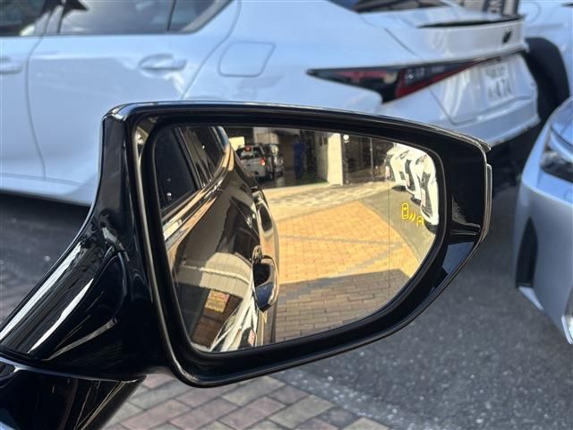 TOYOTA LEXUS UX250h 2023