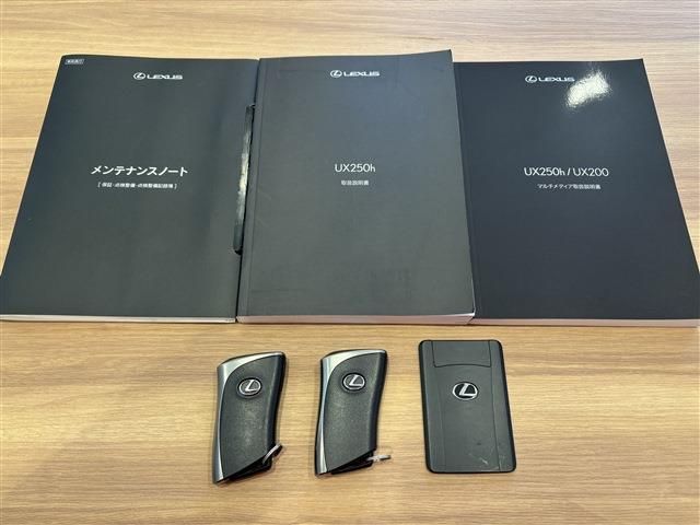 TOYOTA LEXUS UX250h 2023