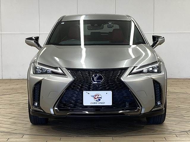 TOYOTA LEXUS UX250h 2019