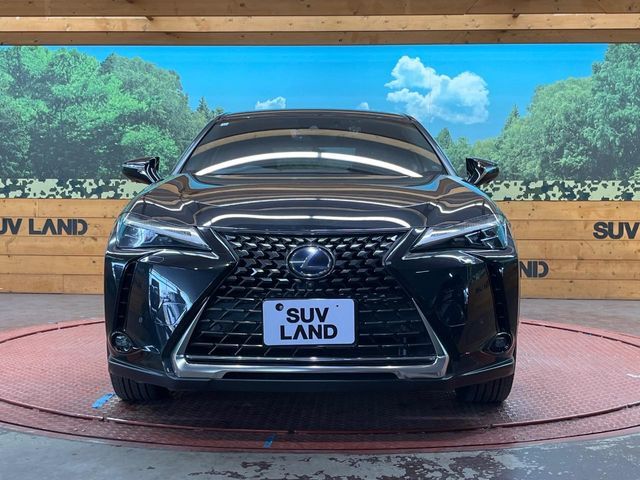 TOYOTA LEXUS UX250h 2020