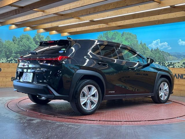 TOYOTA LEXUS UX250h 2020