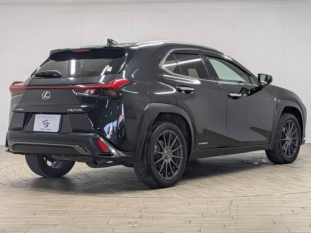 TOYOTA LEXUS UX250h AWD 2022